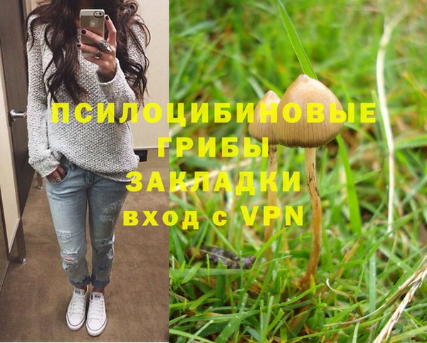 герыч Аркадак