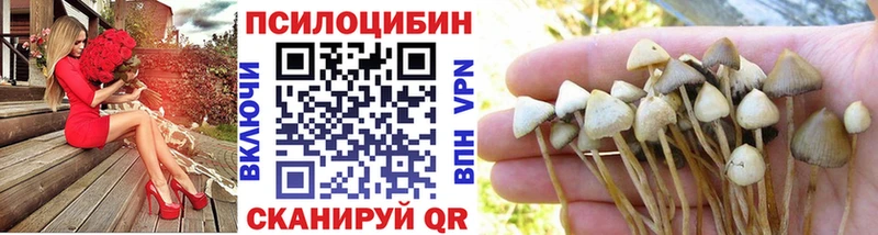 Галлюциногенные грибы Psilocybine cubensis  Кущёвская 